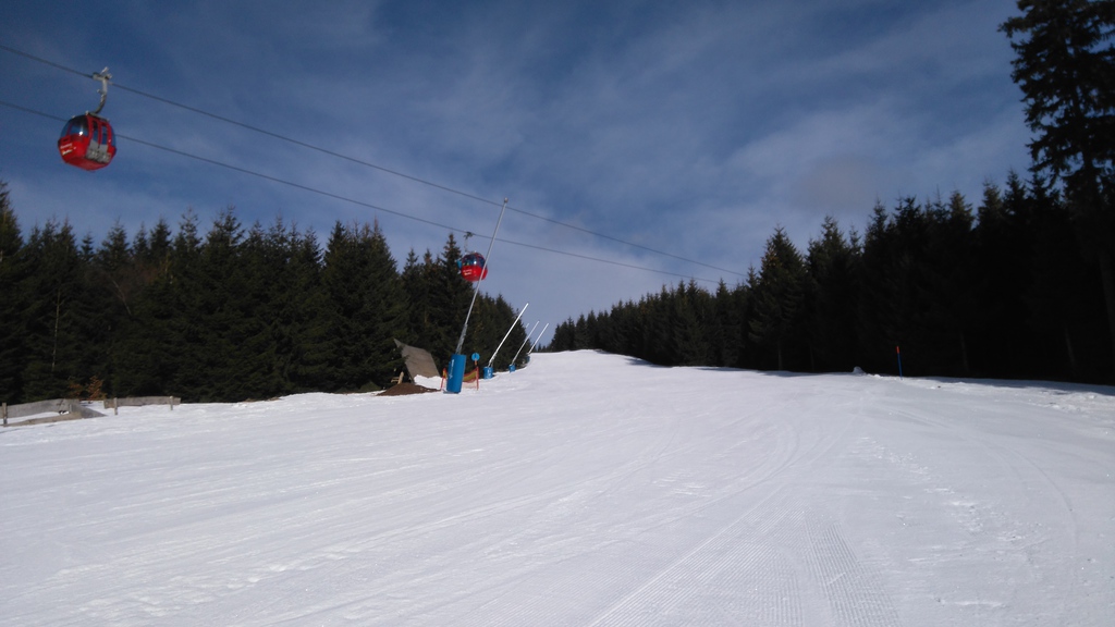 dsc_0016nrxh3.jpg