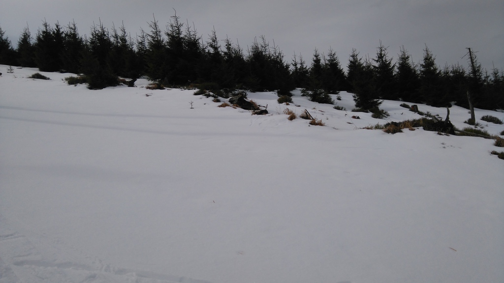 dsc_002356xuz.jpg