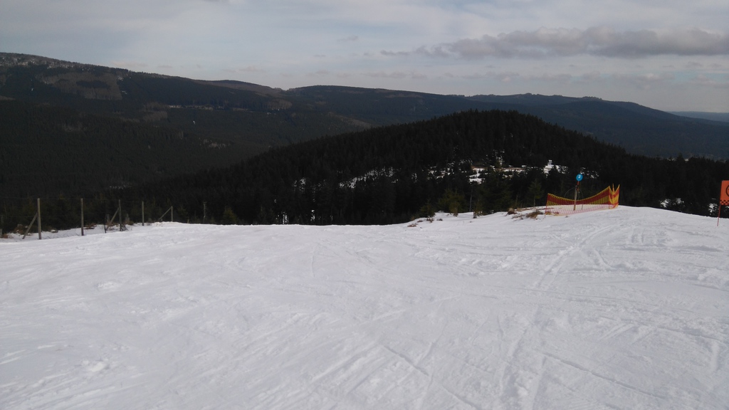 dsc_0025qzx84.jpg