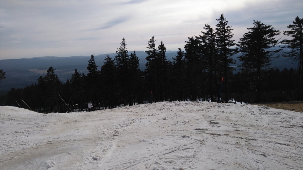dsc_003515x4d.jpg