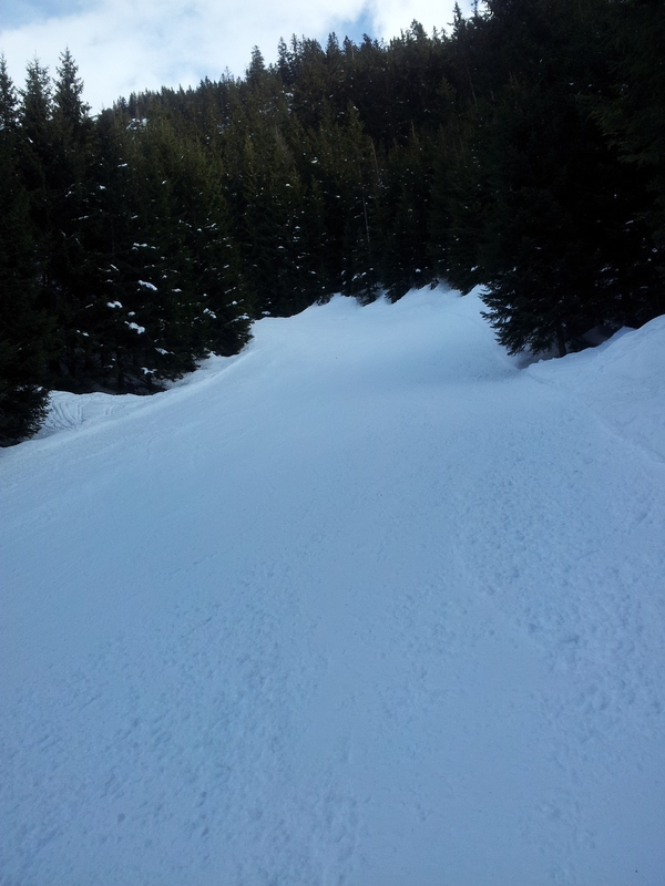 20130120_1102577euh5.jpg