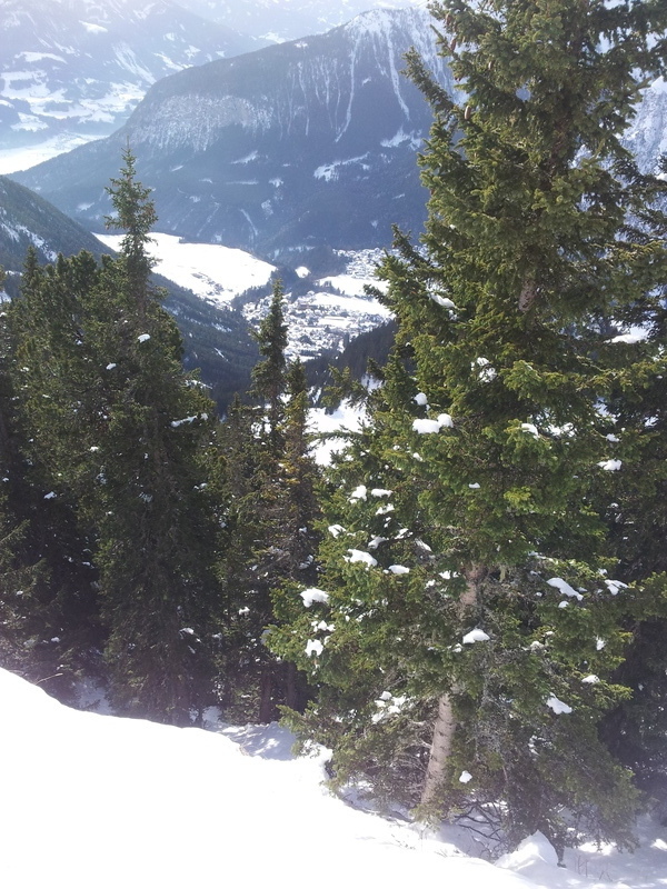 20130120_115546w3upb.jpg