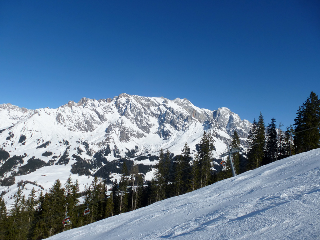 p10304560fulk.jpg