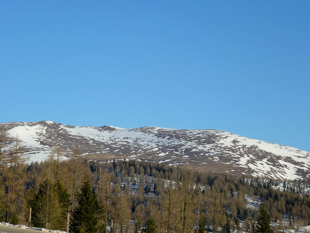 p103058062s2k.jpg