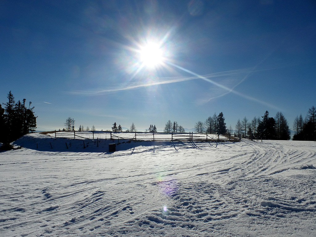 p1030592gusms.jpg