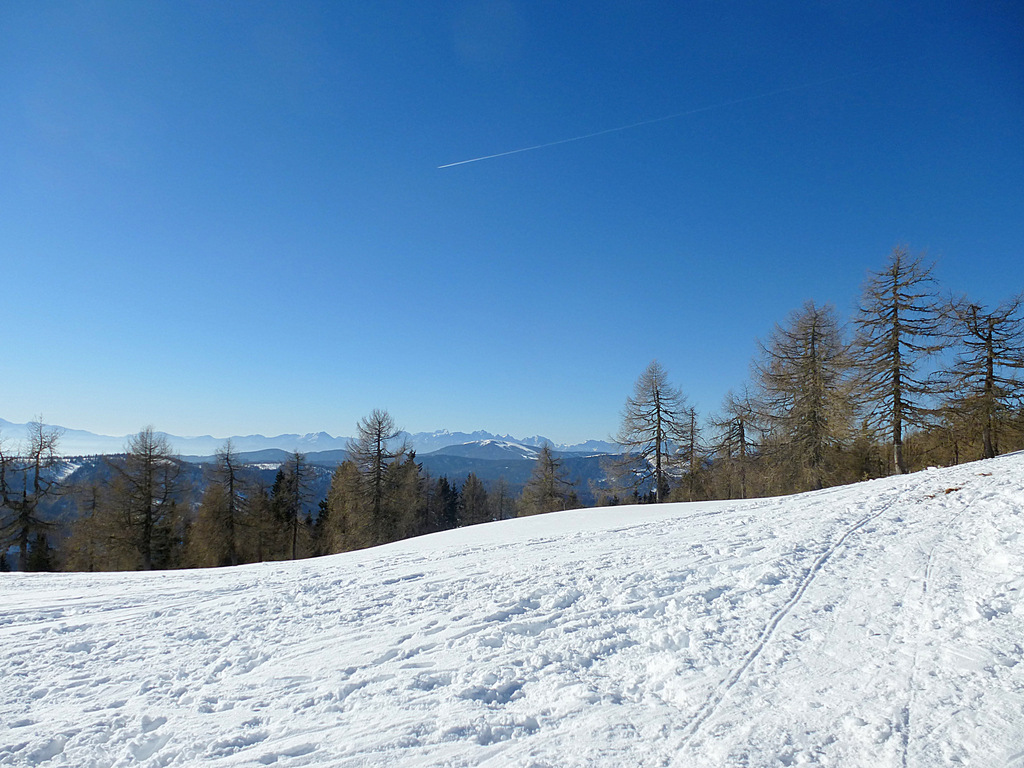 p1030628jzsyv.jpg