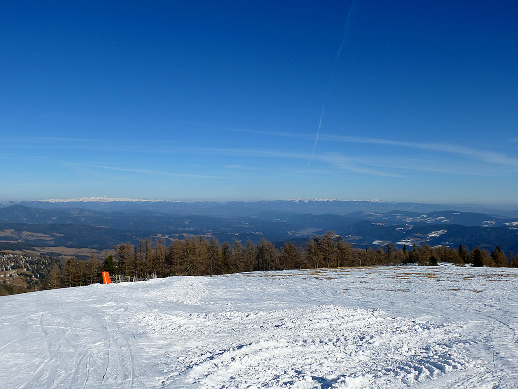 p103069263sil.jpg