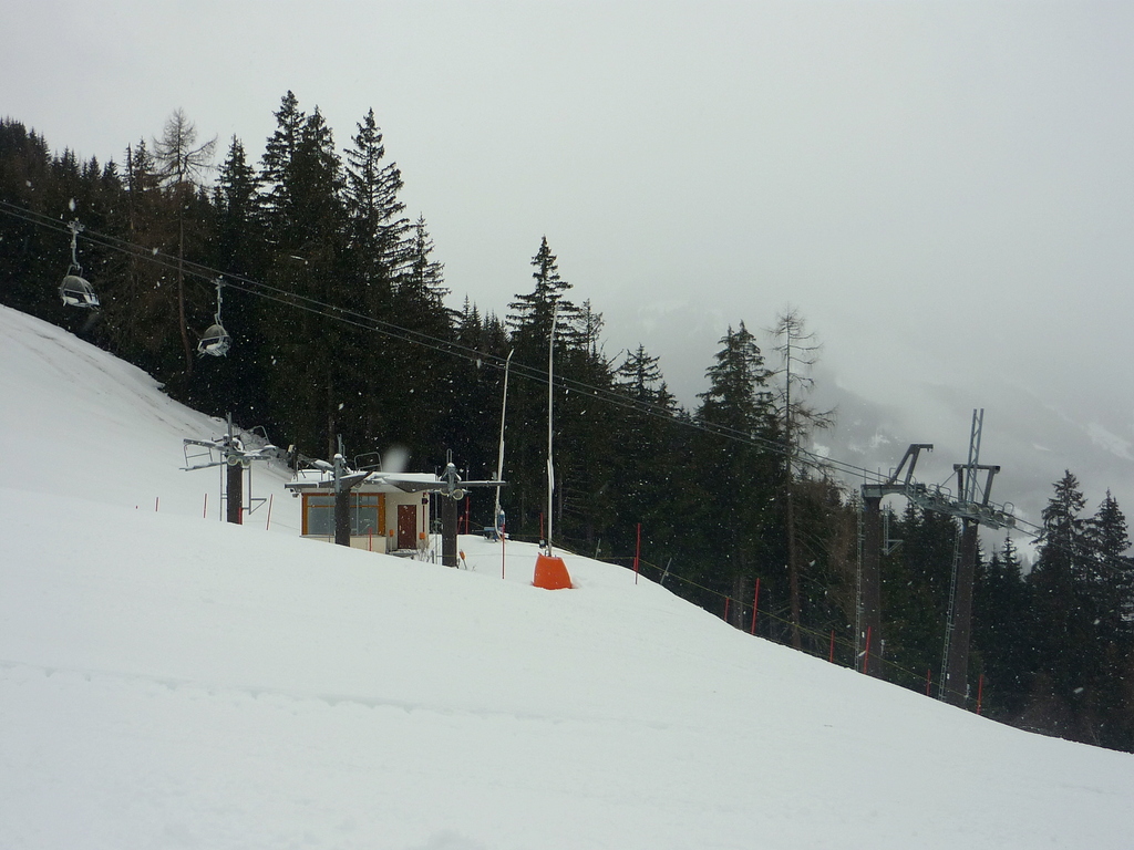 p1050103f6q0h.jpg