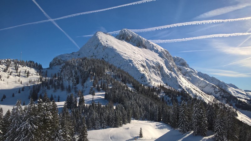 wp_20180124_11_52_39_4yjn3.jpg