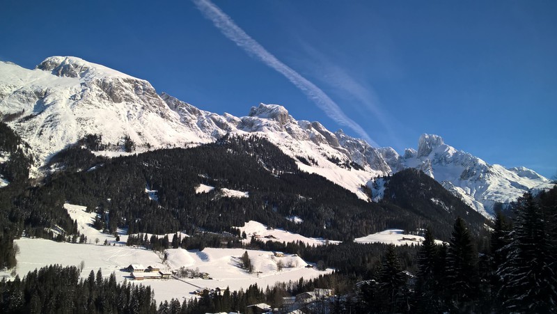 wp_20180124_12_43_05_imjmo.jpg