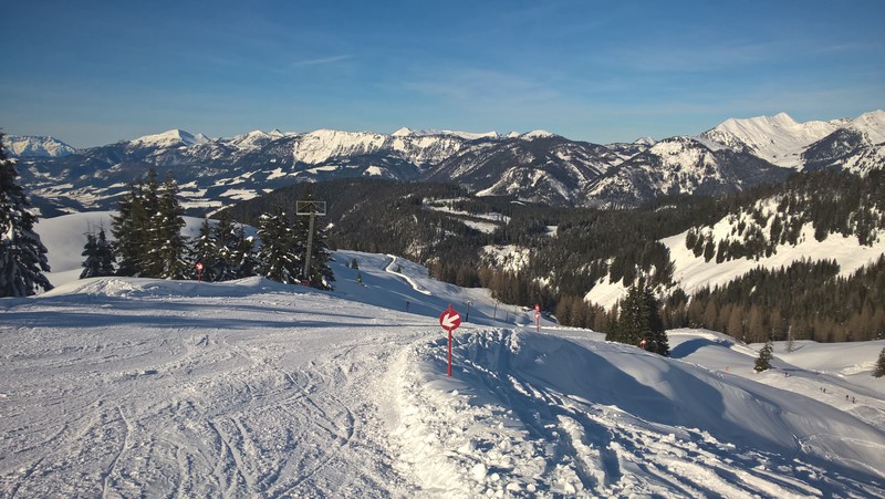 wp_20180124_13_03_57_a9k4m.jpg