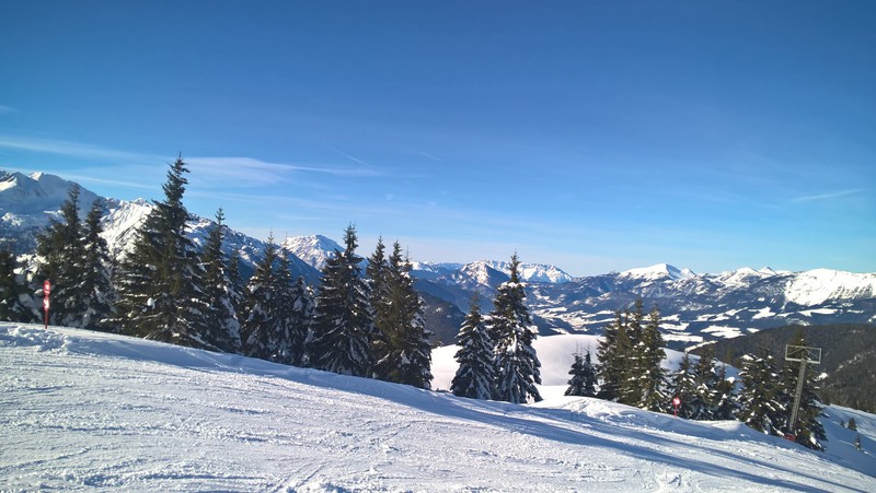 wp_20180124_13_04_22_o6jka.jpg