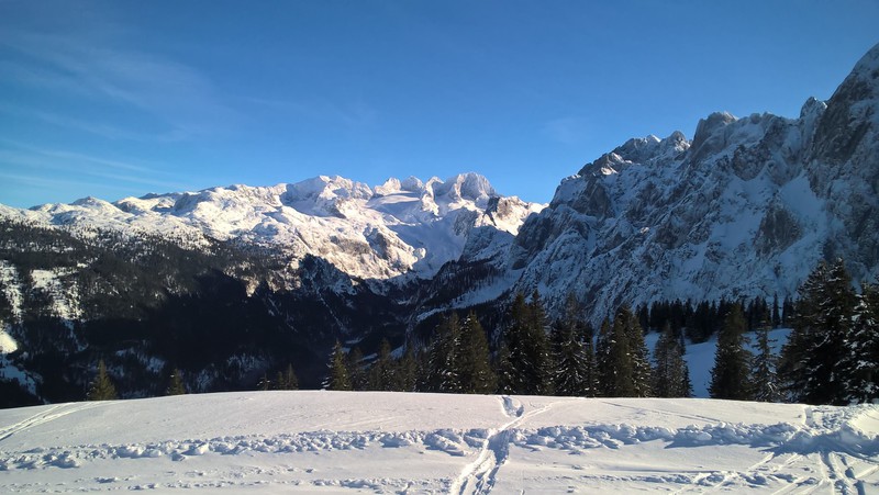 wp_20180124_14_00_54_5pjuk.jpg