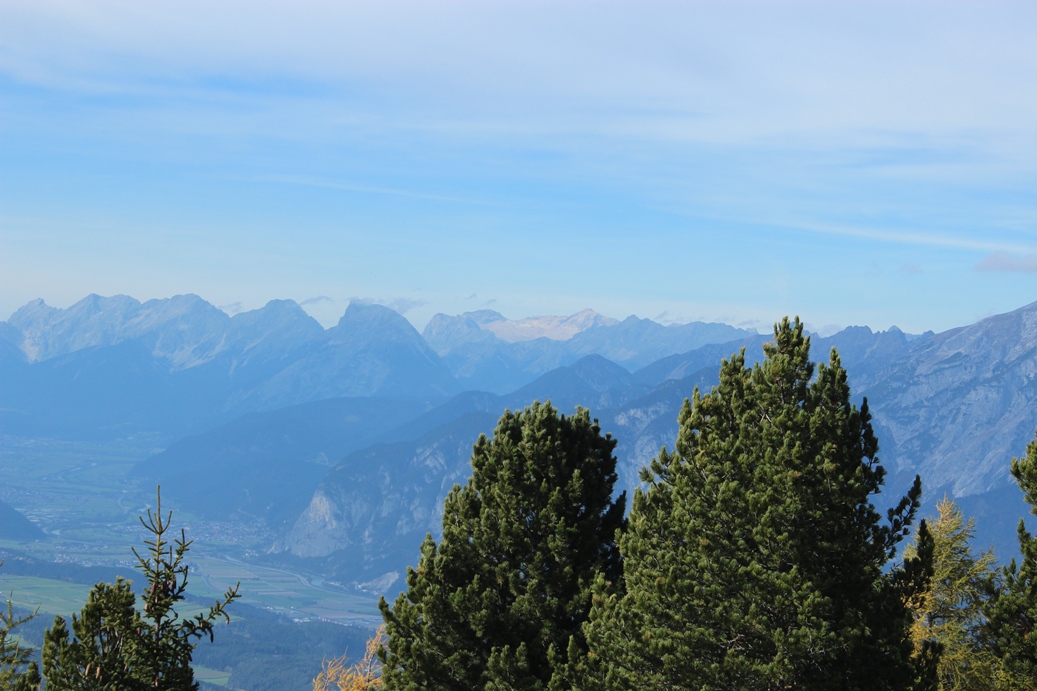 img_0642v0u96.jpg