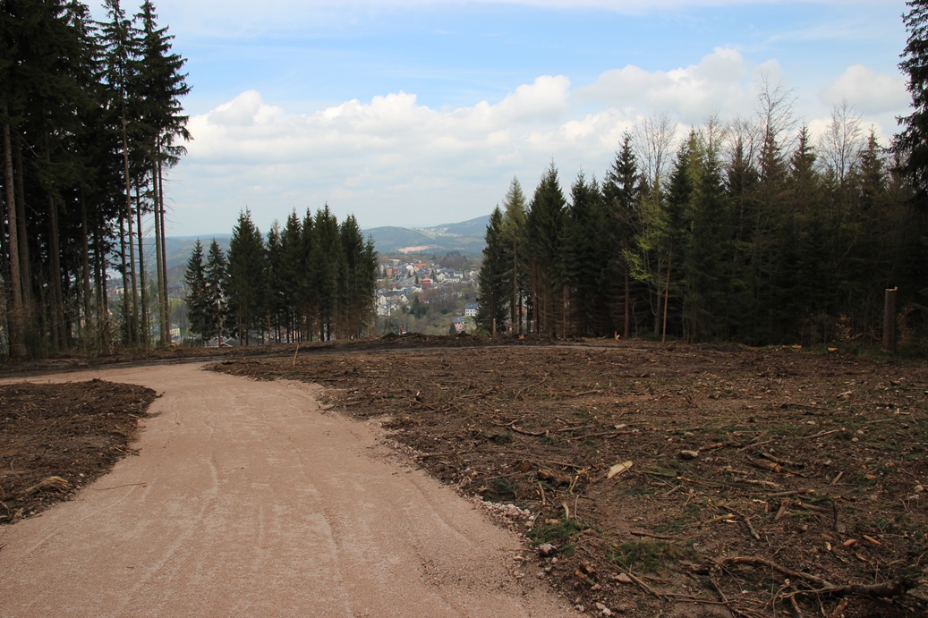 img_4735nuste.jpg