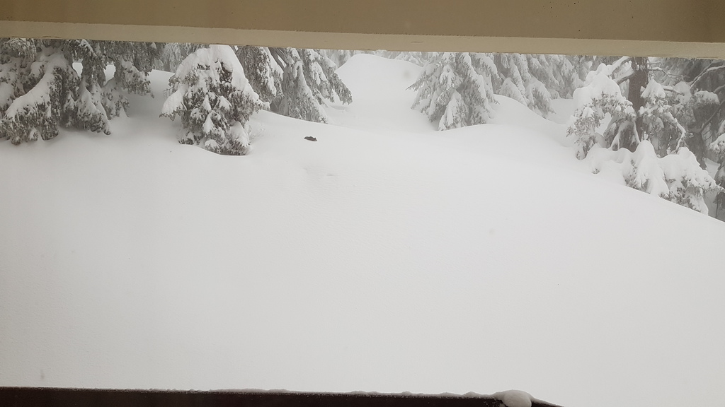 20180121_083646kosk4.jpg