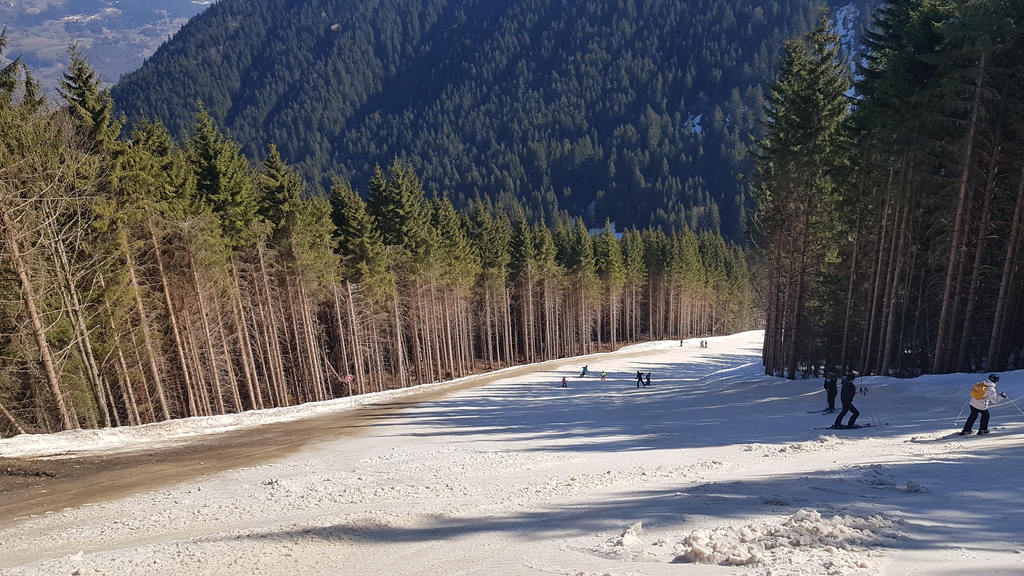 20190331_110444nojw1.jpg