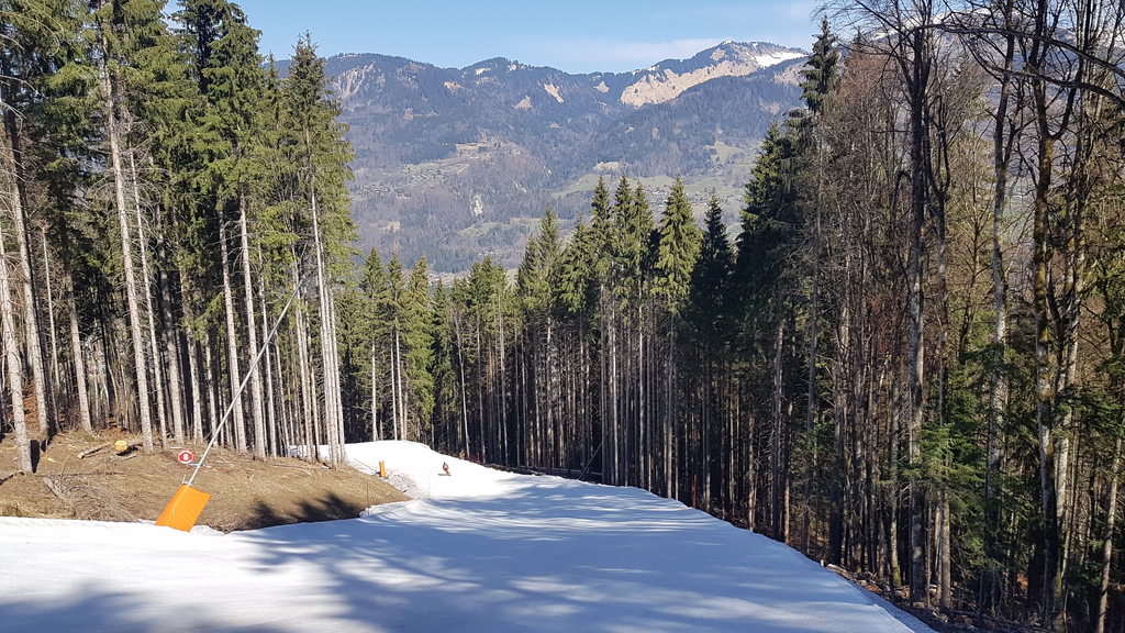 20190331_115647tckeu.jpg