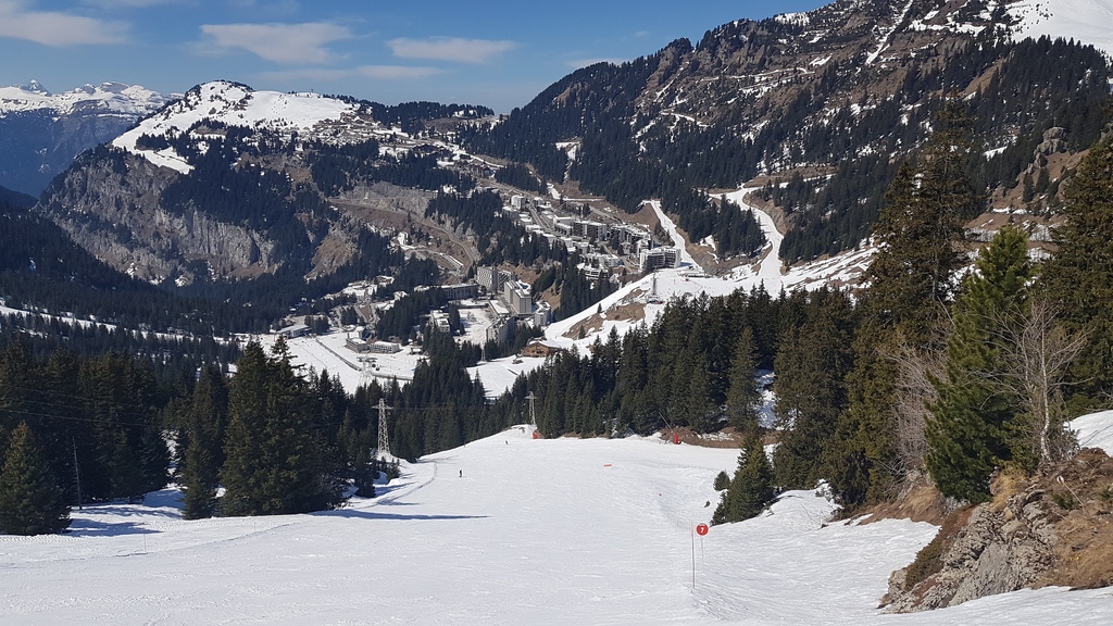 20190331_1412226ojo6.jpg