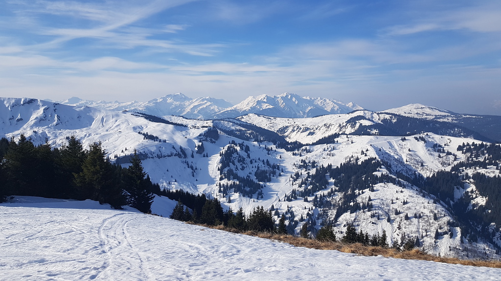 20190402_093247z9j57.jpg