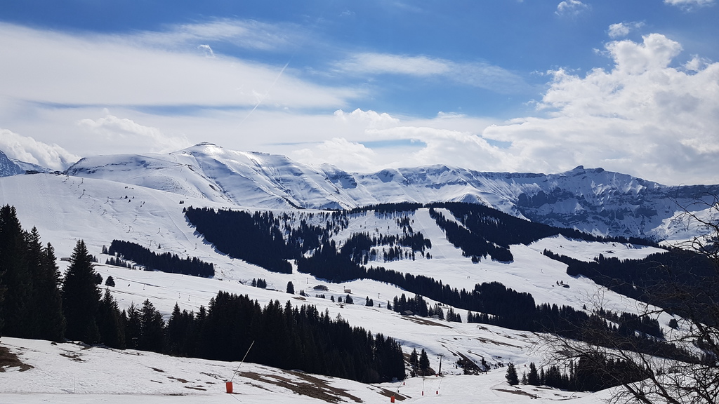 20190403_1243080hjr4.jpg