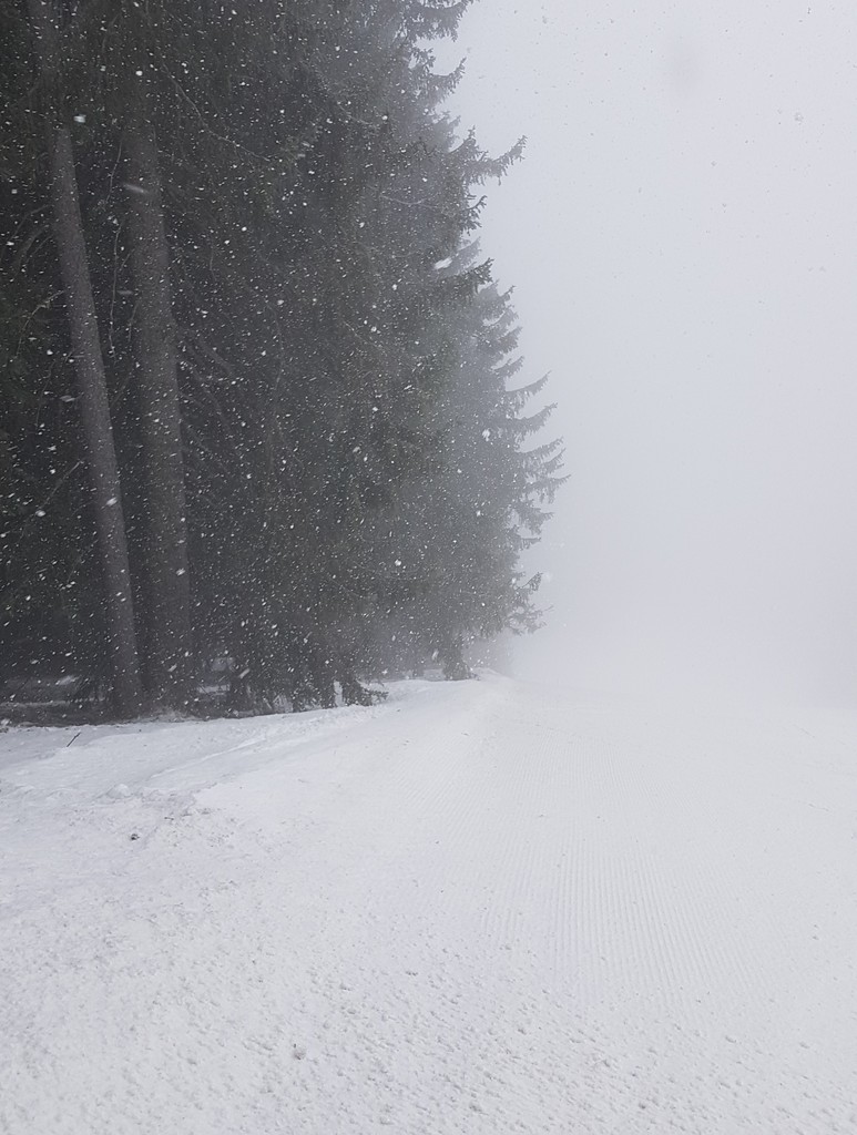 20190403_1532042zhkbj.jpg