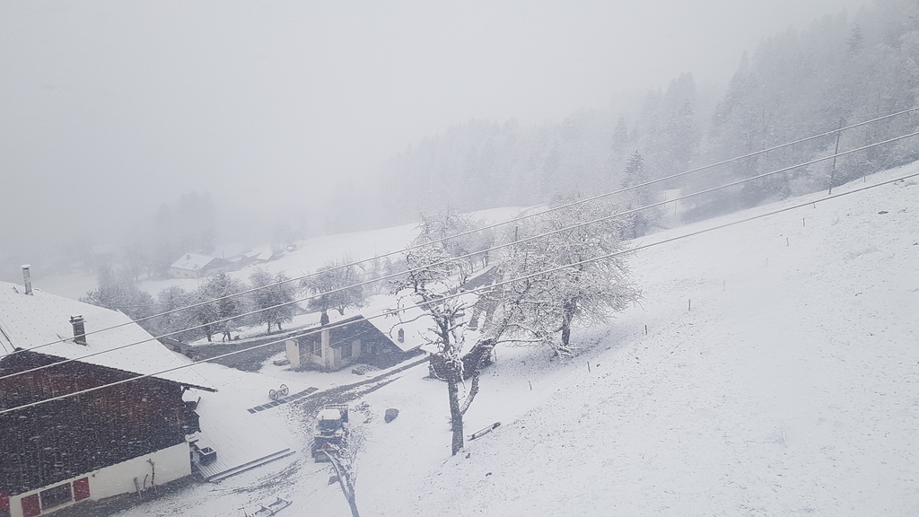 20190403_1654553ikle.jpg