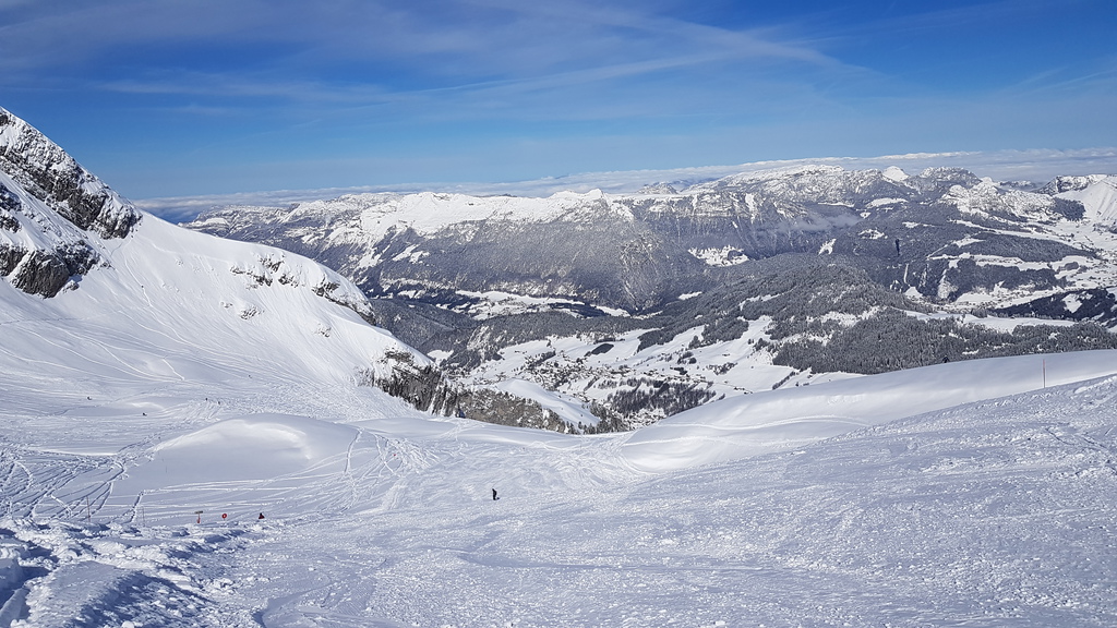 20190405_103252ofkob.jpg