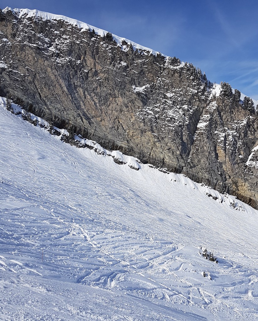 20190405_1053112bvjq8.jpg