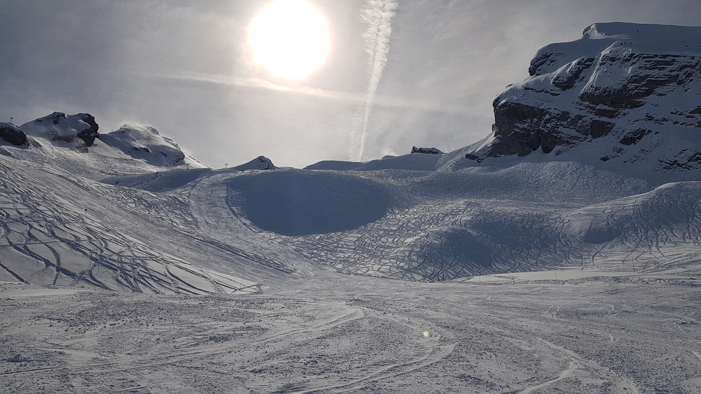 20190405_105318x1kyq.jpg