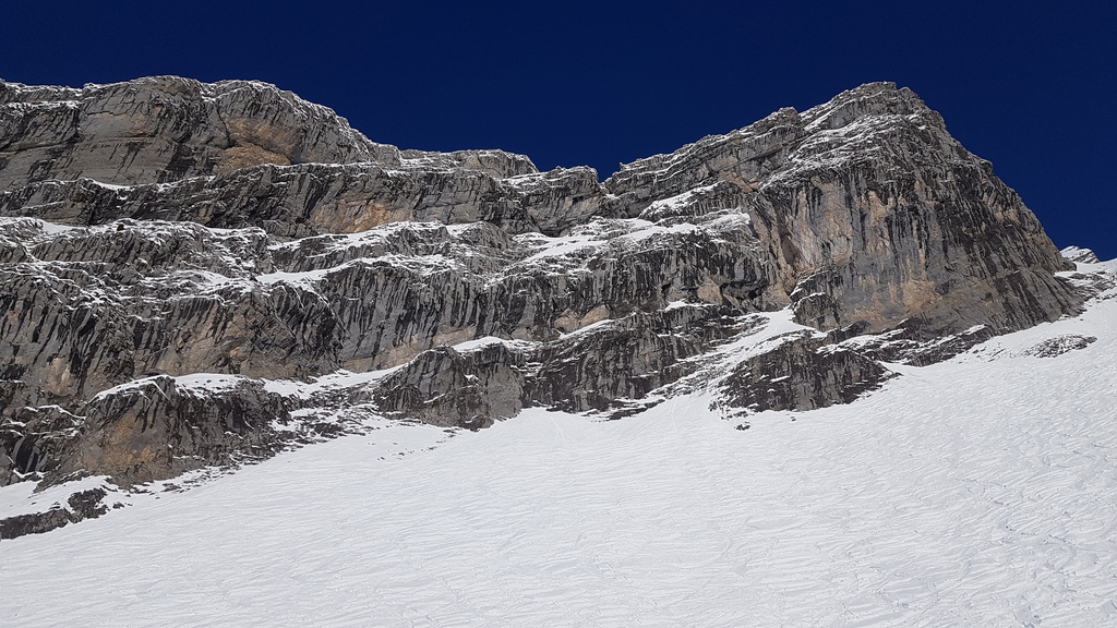 20190405_160820y6kec.jpg