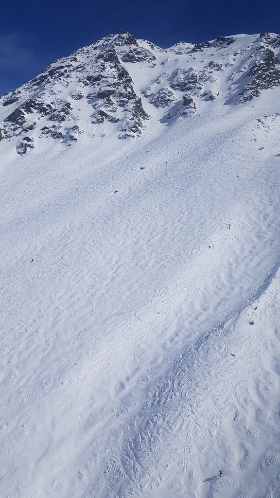 20190406_15471227jq7.jpg