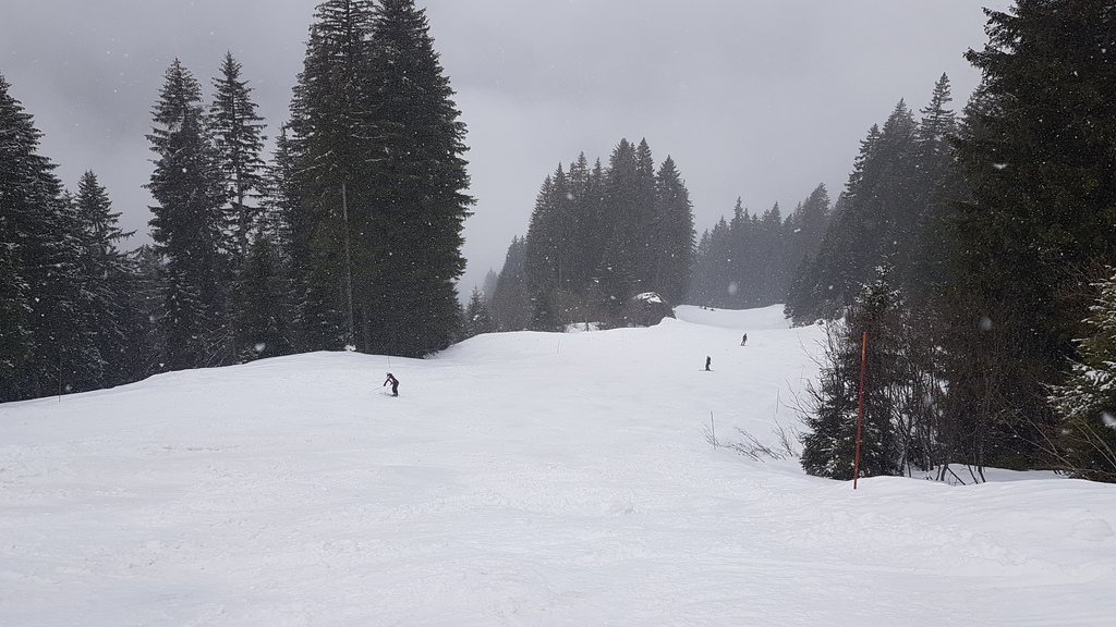 20190407_120539y2j4f.jpg