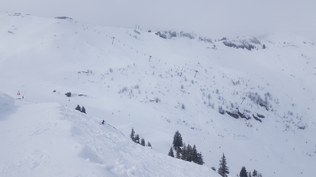 20190407_125921qvjml.jpg