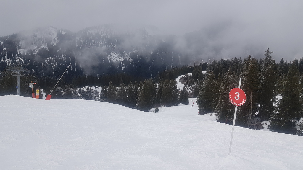 20190407_134409vejo6.jpg