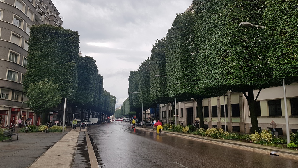 20190621_184218sbjc6.jpg