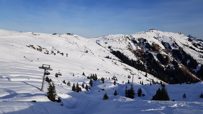 20191208_094639u6jyr.jpg