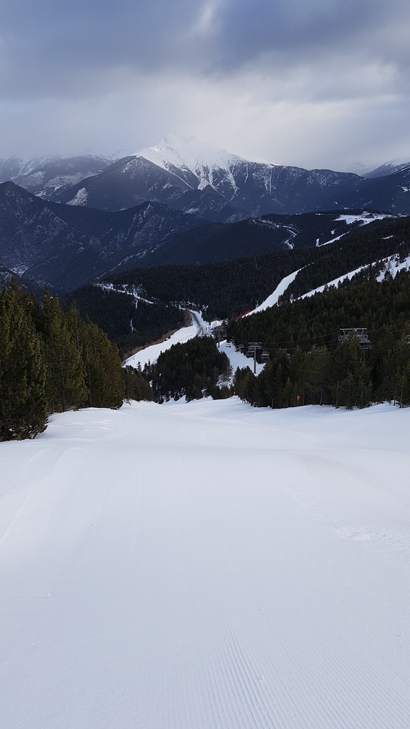 20191212_094956v3kdd.jpg