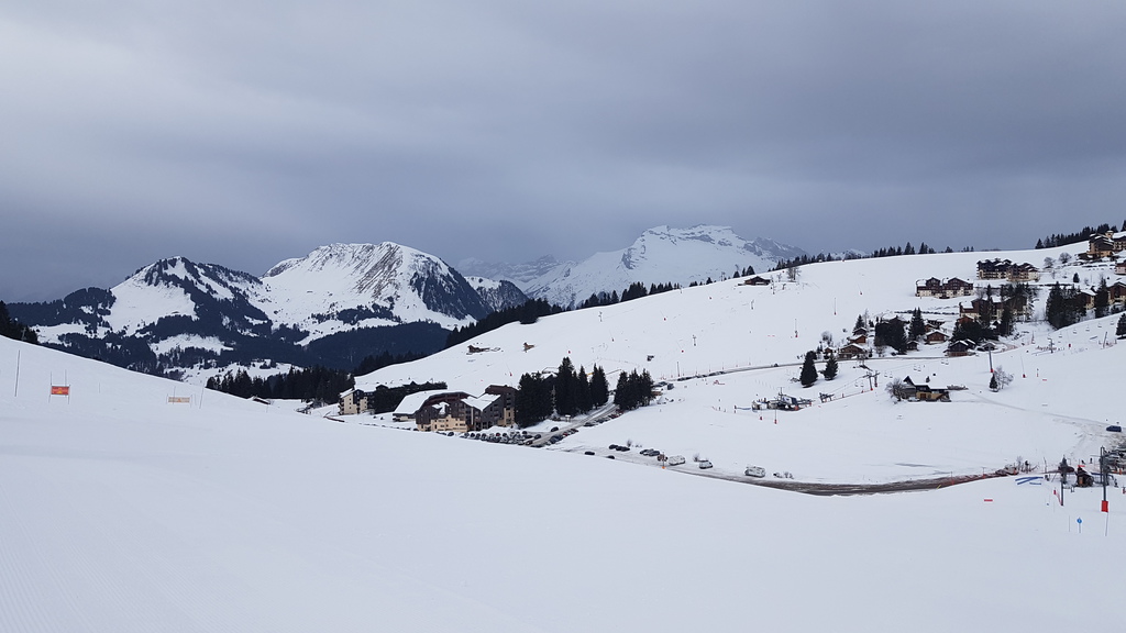 20200126_0911487jk0j.jpg