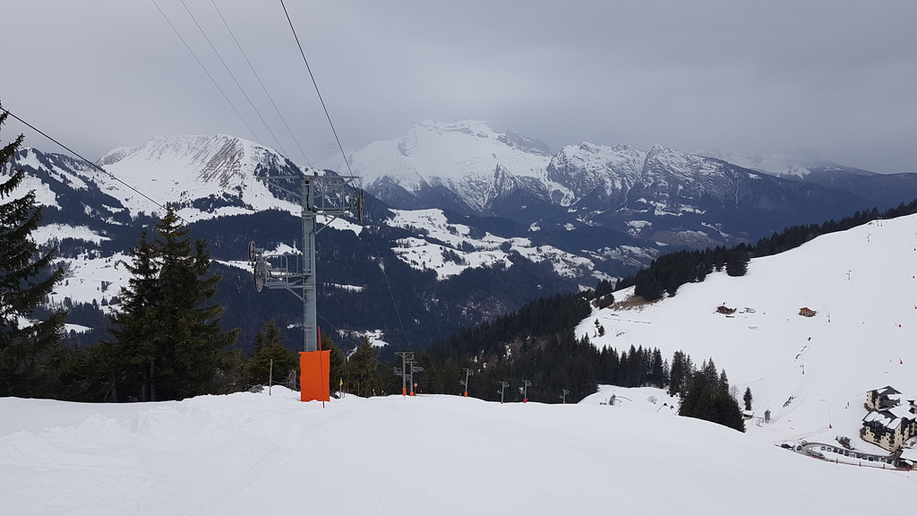 20200126_0916070dkzt.jpg