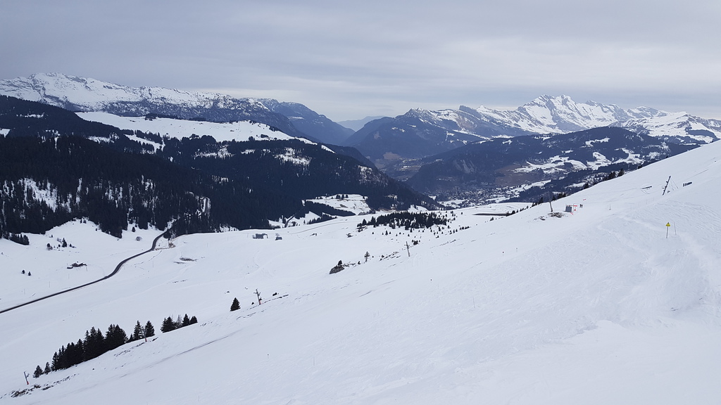 20200126_092349v0jza.jpg