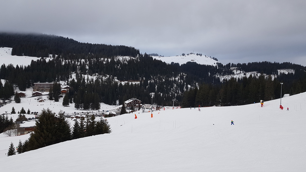 20200126_162607bcjtg.jpg
