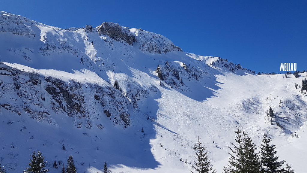 20210323_121415zfkv9.jpg