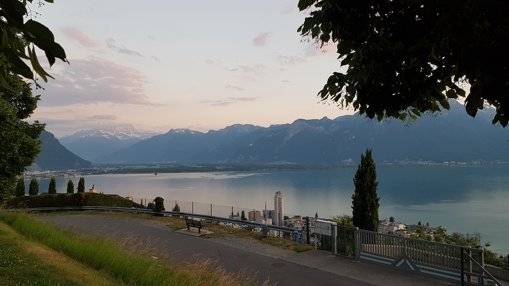 20210611_2121359fjk3.jpg