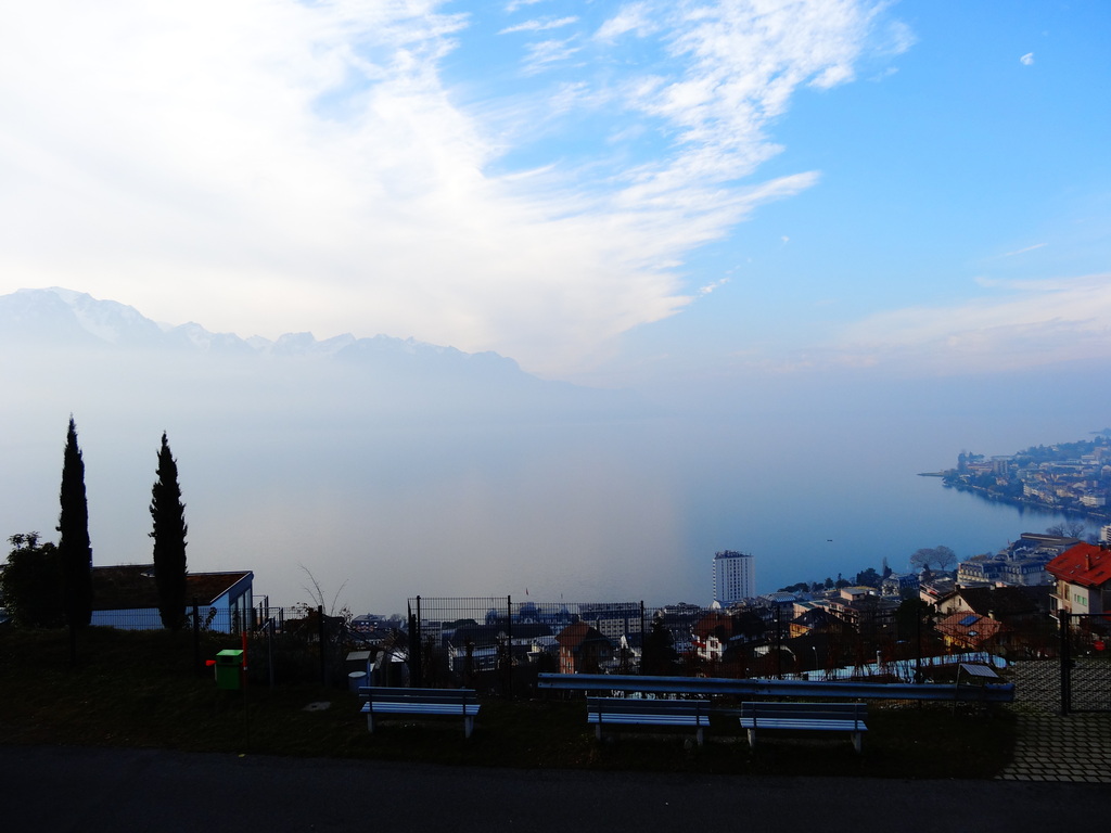 dsc05672cpir1.jpg