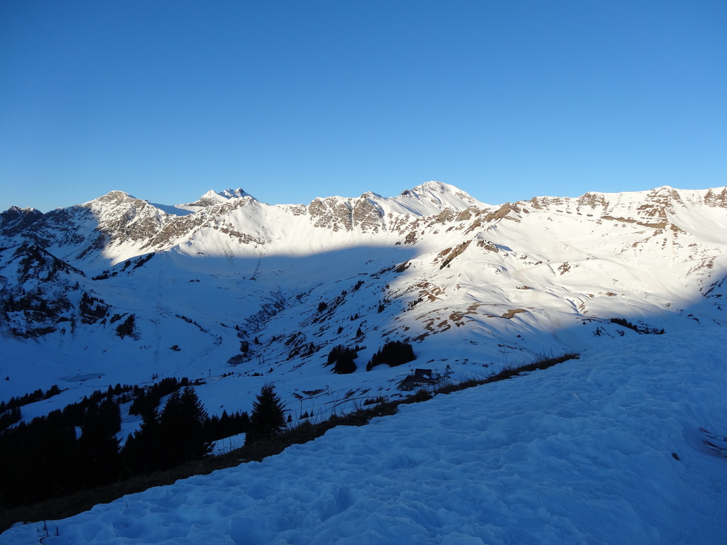 dsc05705b0dl3.jpg