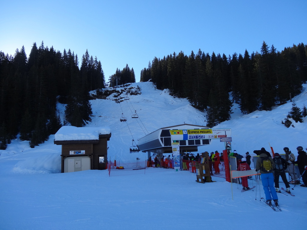 dsc057440ziev.jpg