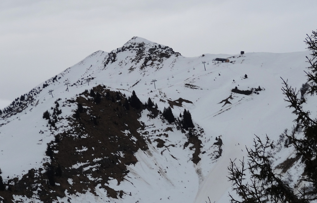 dsc05905-kopiegwj3g.jpg
