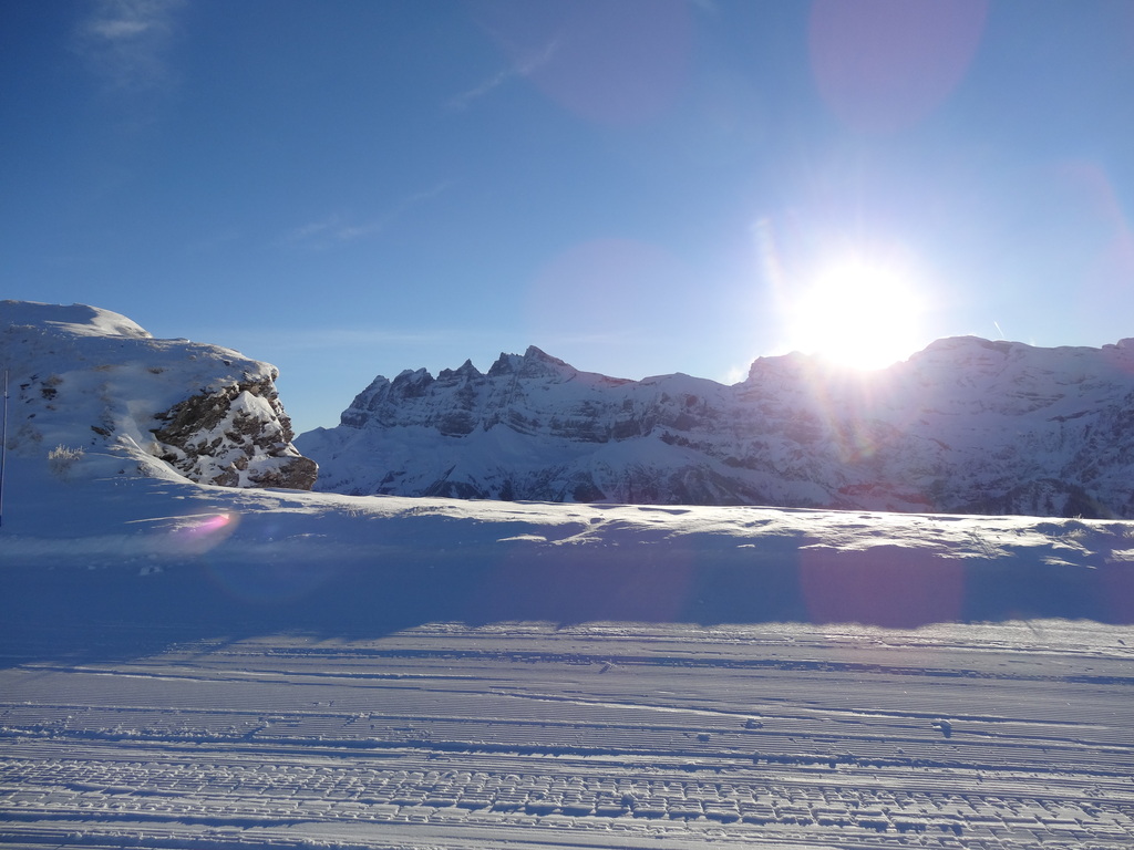 dsc05952j7k7l.jpg