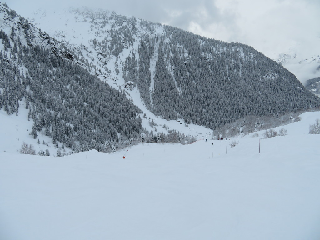 img_0158azum7.jpg